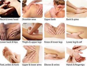 Books for Massage Therapists
